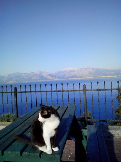 Antalya